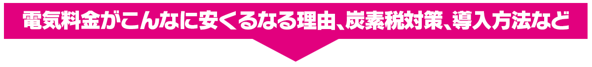 電気料金がこんなに安くるなる理由、炭素税対策、導入方法など
